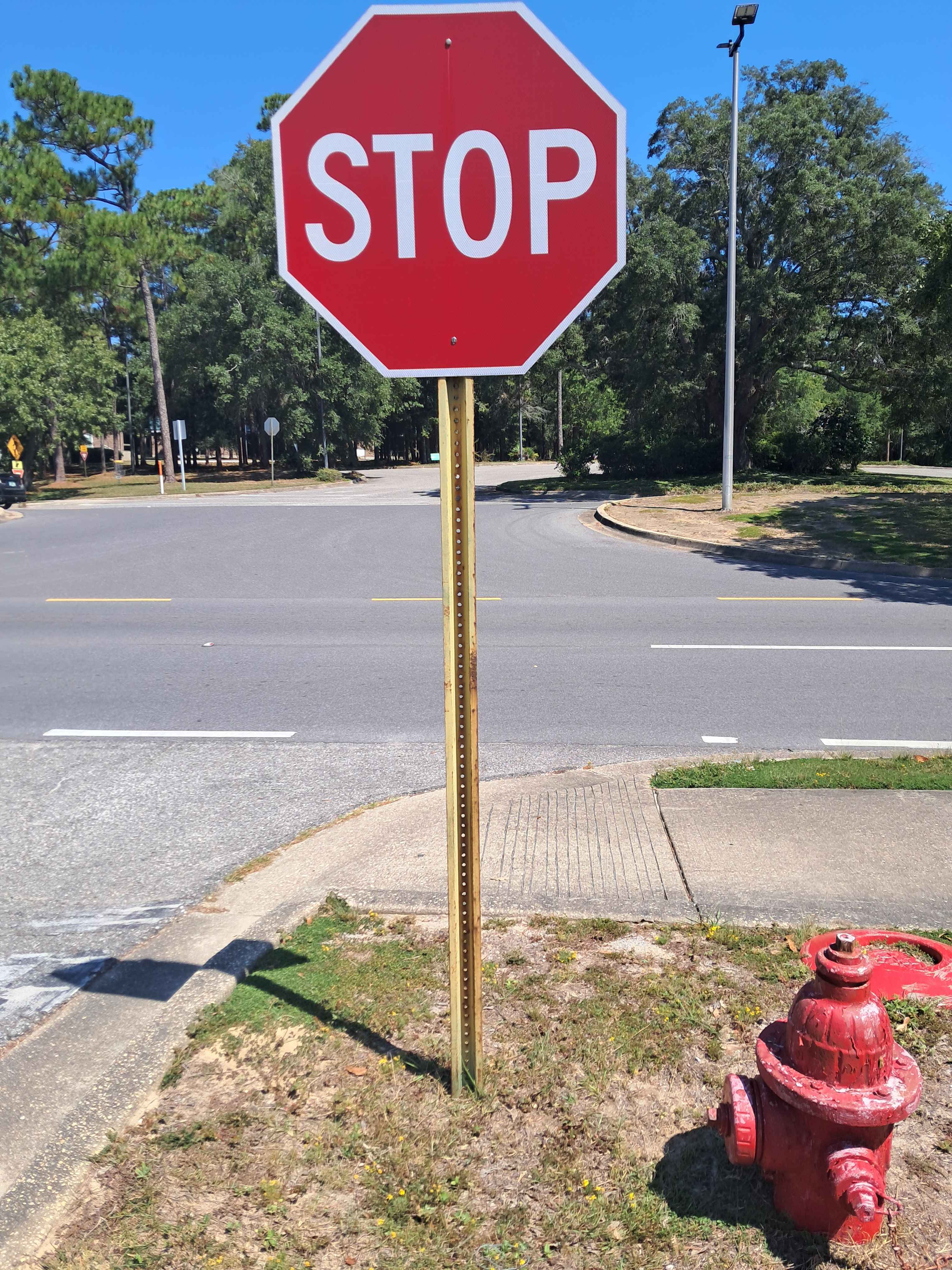 morning_stop.jpg